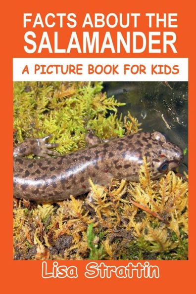 Facts About the Salamander