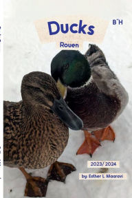 Title: Ducks: Rouen:, Author: Esther L Maaravi
