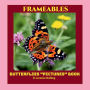 Butterflies Pictures Book