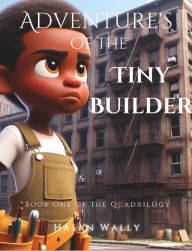 Title: Adventure's of Tiny Builder: Book One of the Quadrilogy, Author: Hasan Wally