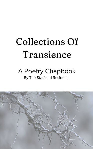 Collections Of Transience Chapbook Edition 1 (23-24)