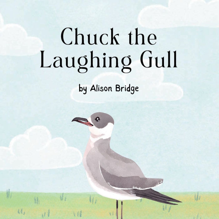 Chuck the Laughing Gull