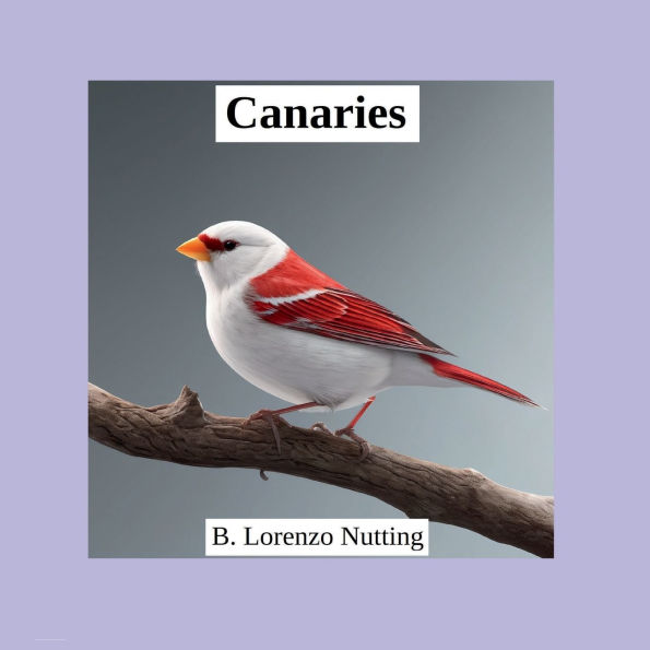 Canaries Pictures Book