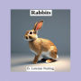 Rabbits Pictures Book