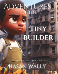 Title: Adventure's of Tiny Builder: Book One of the Quadrilogy, Author: Hasan Wally