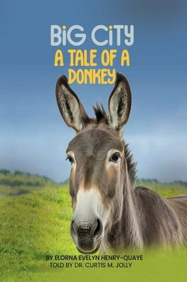 BIG CITY: a Tale of Donkey