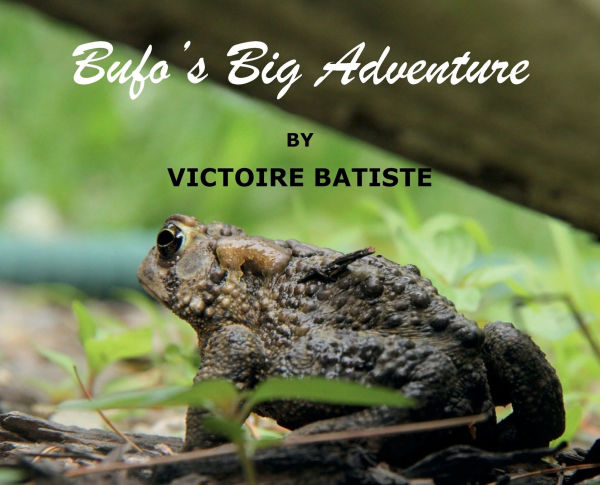 Bufo's Big Adventure