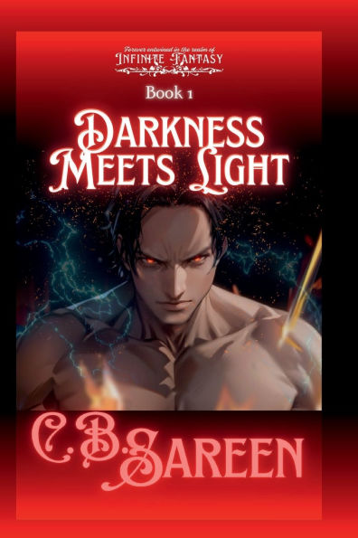 Darkness Meets Light: Infinite Fantasy Series, Book 1