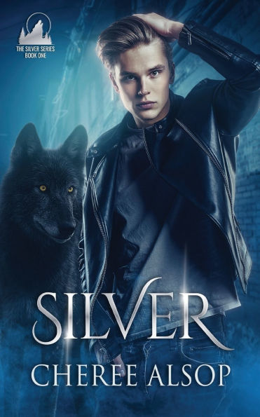 Silver (The Series Book 1)