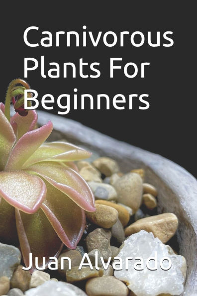 Carnivorous Plants For Beginners