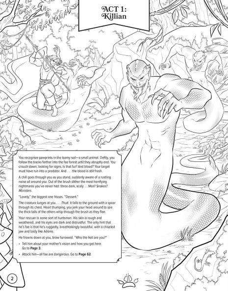 Masks and Magic: A Faerie Romantasy Coloring Adventure