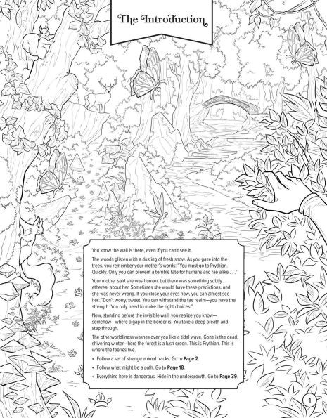 Masks and Magic: A Faerie Romantasy Coloring Adventure