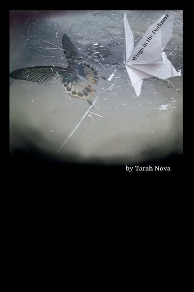 Wings the Darkness