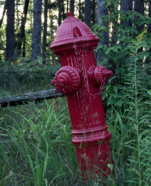Forest Hydrant
