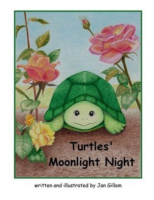 Turtles' Moonlight Night
