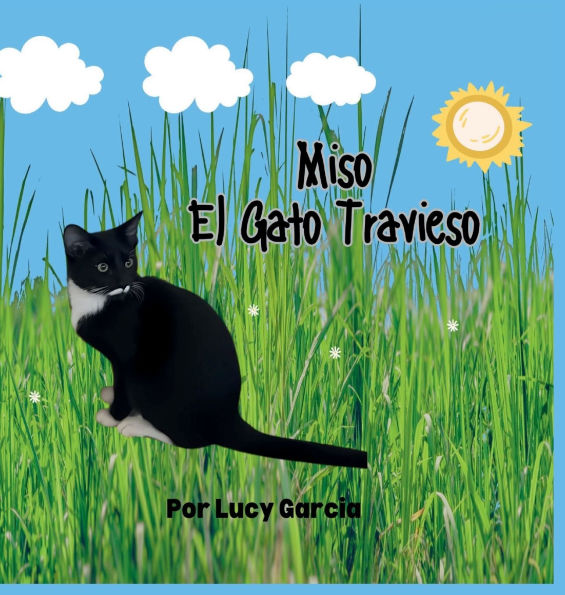 Miso, El Gato Travieso