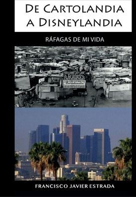 DE CARTOLANDIA A DISNEYLANDIA: Ráfagas de mi Vida