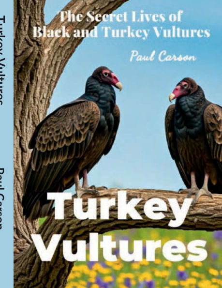 Turkey Vultures: The Secret Lives of Black and Vultures