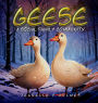 Geese: A Social Family Community: