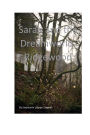 Sarah and the Dreamworld: Ridgewood