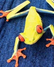 Title: Red-Eyed Tree Frog, Author: Matthew Mark Nichols