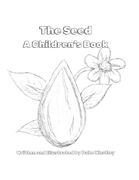The Seed - A Children's Book