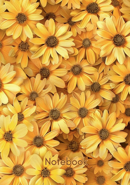 Notebook Yellow 2 7" by 10" 110 Pages: A Daily Journal