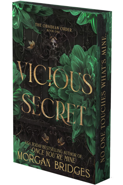 Vicious Secret: A Dark Romance