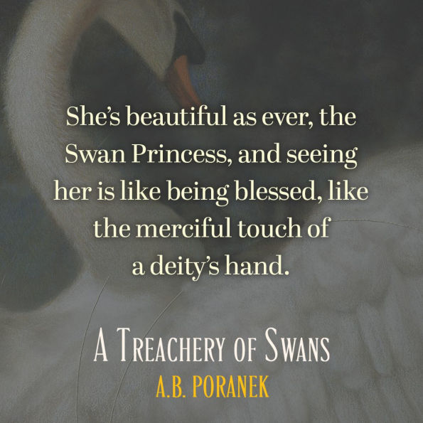 A Treachery of Swans (B&N Exclusive Edition)