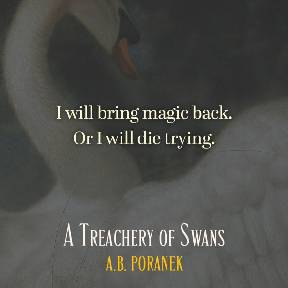 A Treachery of Swans (B&N Exclusive Edition)