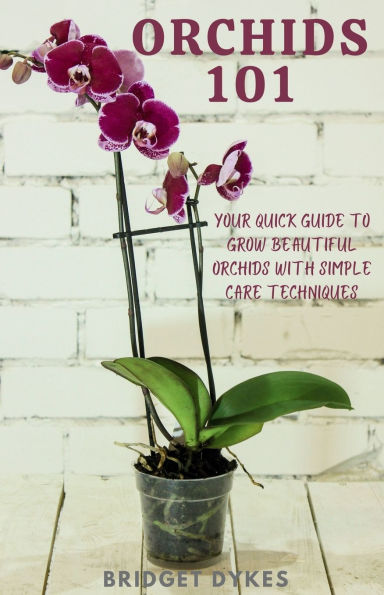 orchids 101: Your quick guide to grow beautiful with simple care techniques