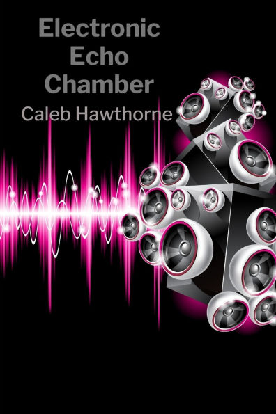 Electronic Echo Chamber: Brief Studies in Digital Consciousness Evolution