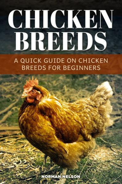 Chicken Breeds: A Quick Guide On Breeds For Beginners