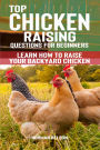Top Chicken Raising Questions for Beginners: Learn How To Raise Your Backyard Chicken