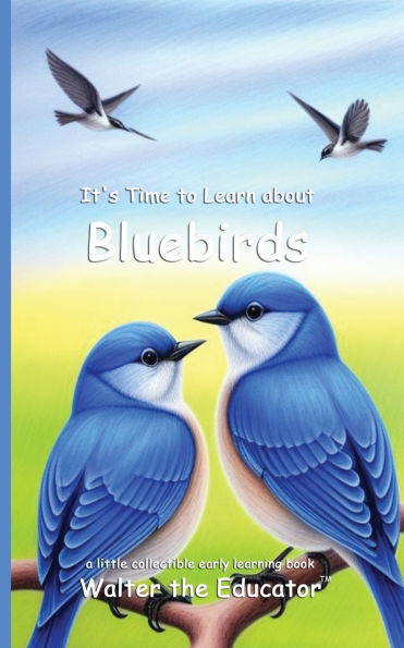 It's Time to Learn about Bluebirds