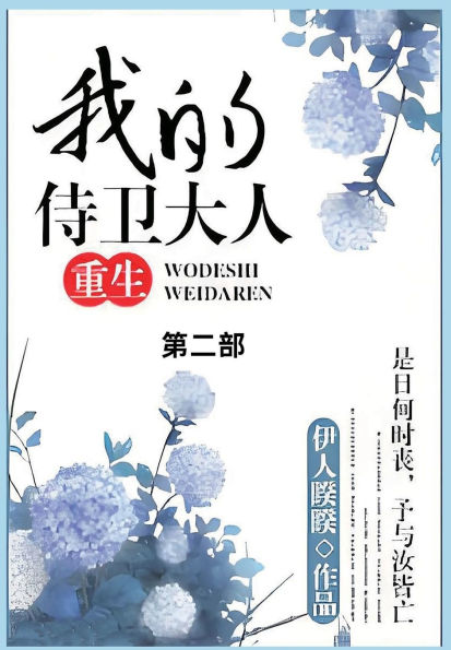 我的侍卫大人: 第二部