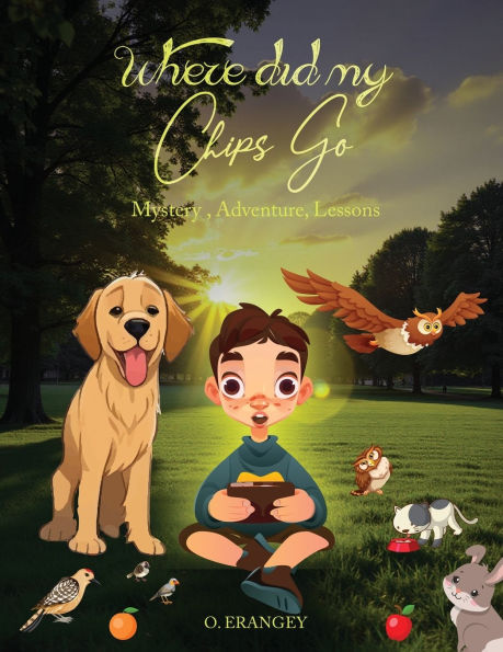 Where Did My Chips Go