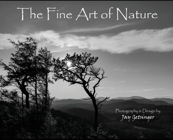 The Fine Art of Nature