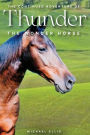 The Continued Adventures of Thunder: The Wonder Horse
