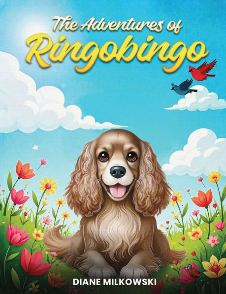 The Adventures of Ringobingo