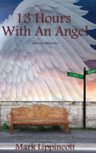 Title: 13 Hours with an Angel, Author: Mark Lippincott
