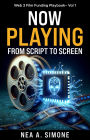 Now Playing From Script to Screen Web 3 Film Funding Playbook Vol. 1: Web 3 Film Funding Playbook