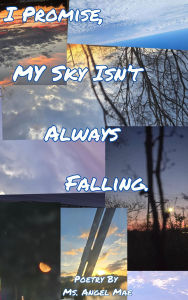 Free download it ebook I PROMISE MY SKY ISN'T ALWAYS FALLING (English literature) PDF RTF
