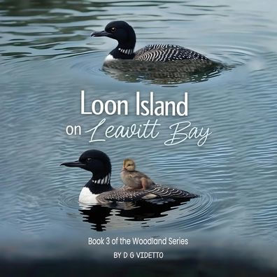 Loon Island on Leavitt Bay: The Woodland Series Book 3