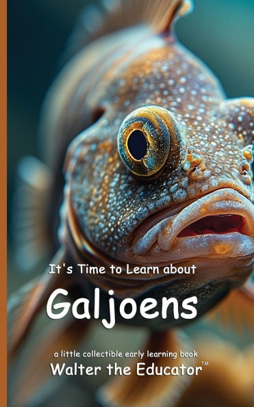 It's Time to Learn about Galjoens