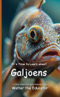 It's Time to Learn about Galjoens