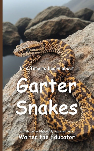 It's Time to Learn about Garter Snakes