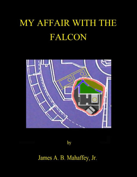 My Affair With The Falcon