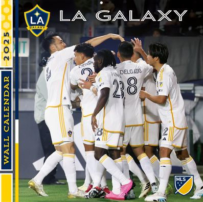 2025 12X12 TEAM WALL CALENDAR LA GALAXY