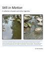 Still in Motion: A collection of poetry and other vignettes